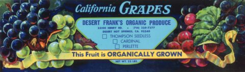 Desert Frank s Organic Produce
